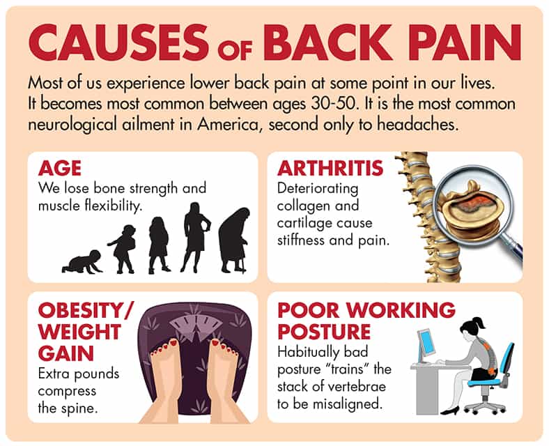 cause-back-pain-one-point-blogs